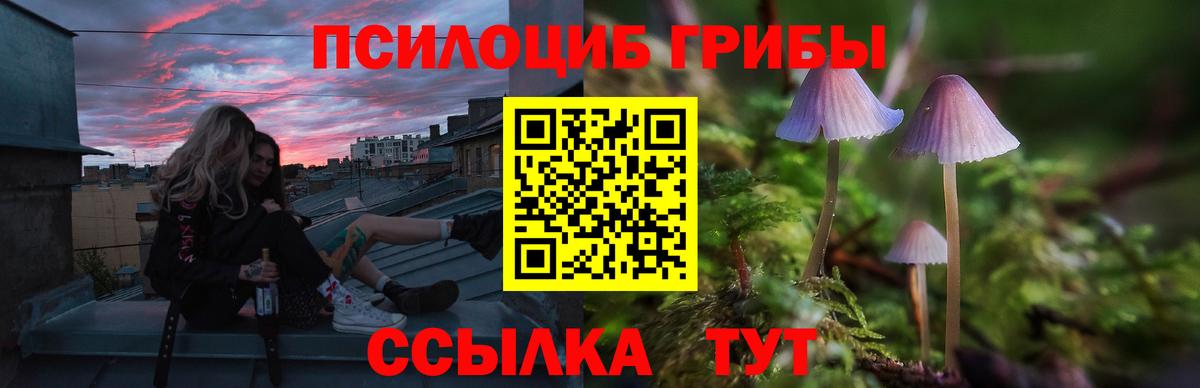 Галлюциногенные грибы Magic Shrooms  Вход с VPN  Железногорск 